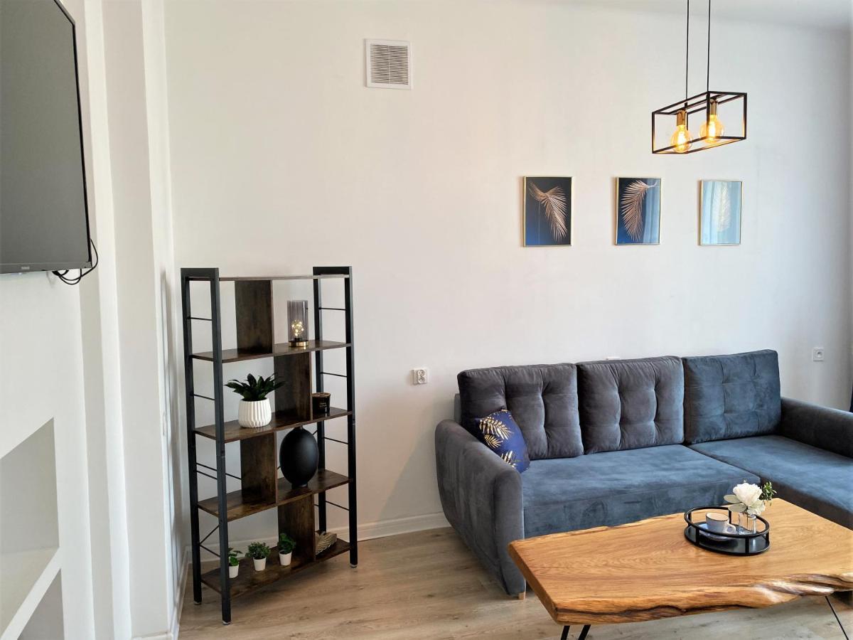 Apartament Midnight Blue ミエレツ エクステリア 写真